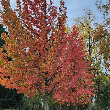 Les Rives Du De Apartment