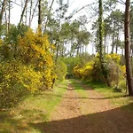 Les Rives Du De Léon