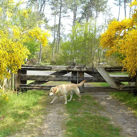 Appartement Les Rives Du De Léon