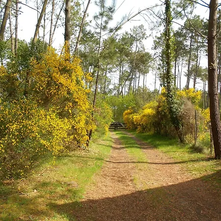 Les Rives Du De Léon