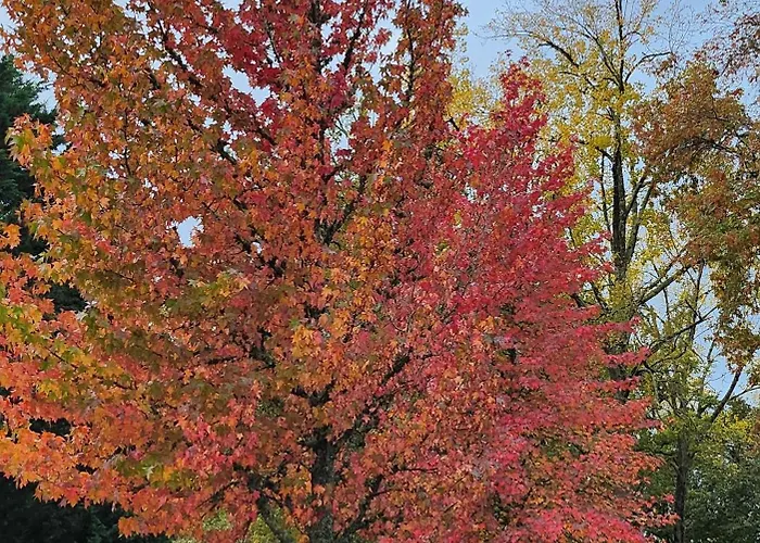 Les Rives Du De شقة