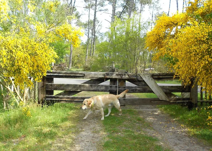 شقة Les Rives Du De ليو