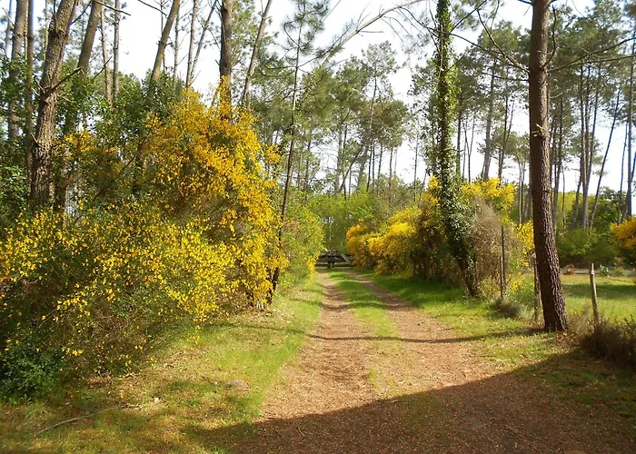 Les Rives Du De ليو